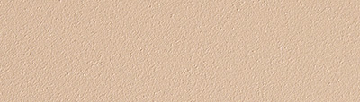 5204 grey beige (RAL1019)